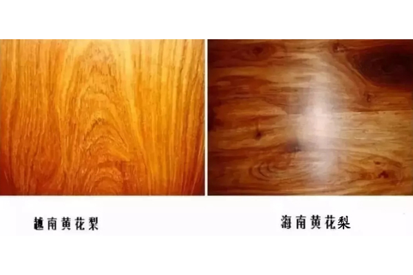 海南黃花梨VS越南黃花梨