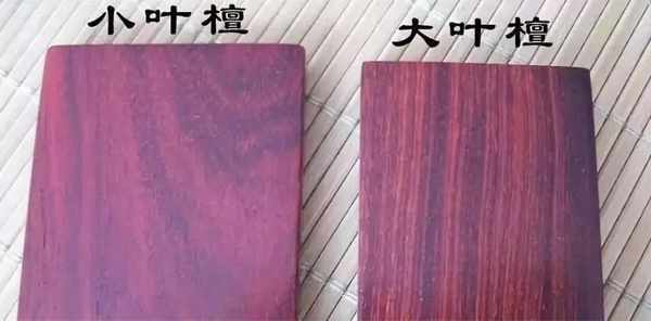 小葉紫檀VS大葉紫檀