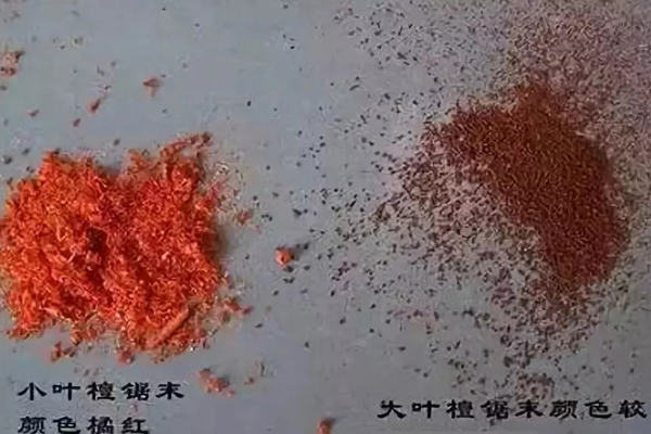 小葉紫檀VS大葉紫檀