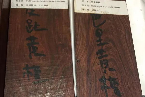 紅酸枝（巴里黃檀）和大紅酸枝