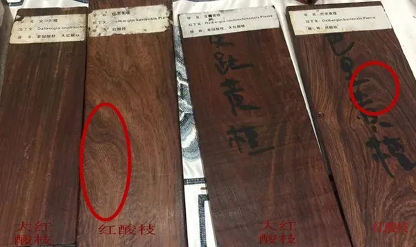 紅酸枝和大紅酸枝
